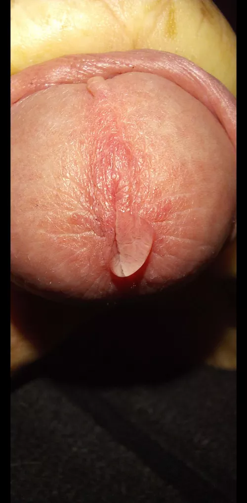 anyone wanna taste? by redbeardeddragon1984