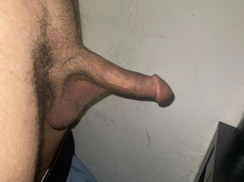 anyone wanna test drive? posted by Icy-Put-1981