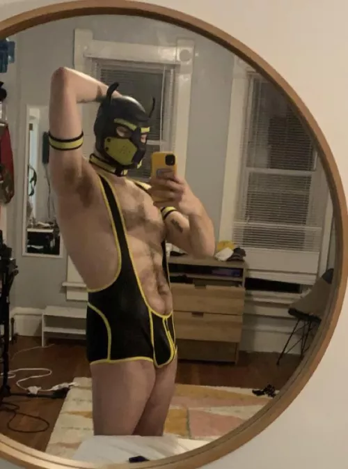 Anyone wanna wrestle with this pup?? Winner gets treats!!! by weinersz
