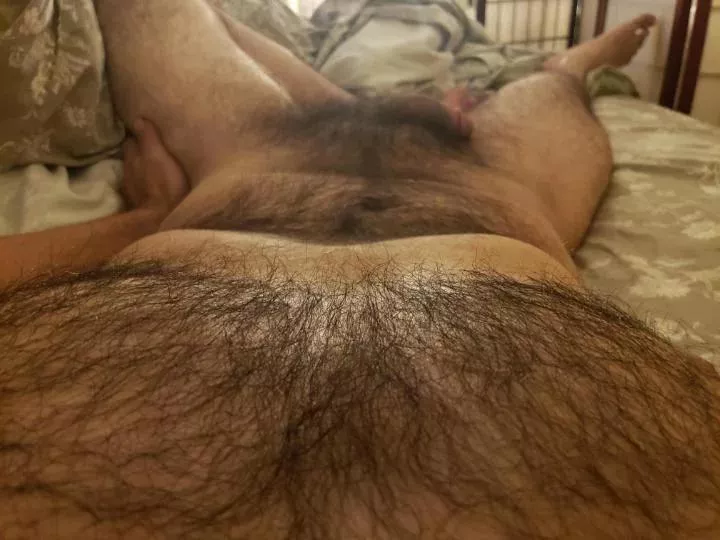 Anyone want a roommate who sleeps on top of the covers? posted by nakednicky123