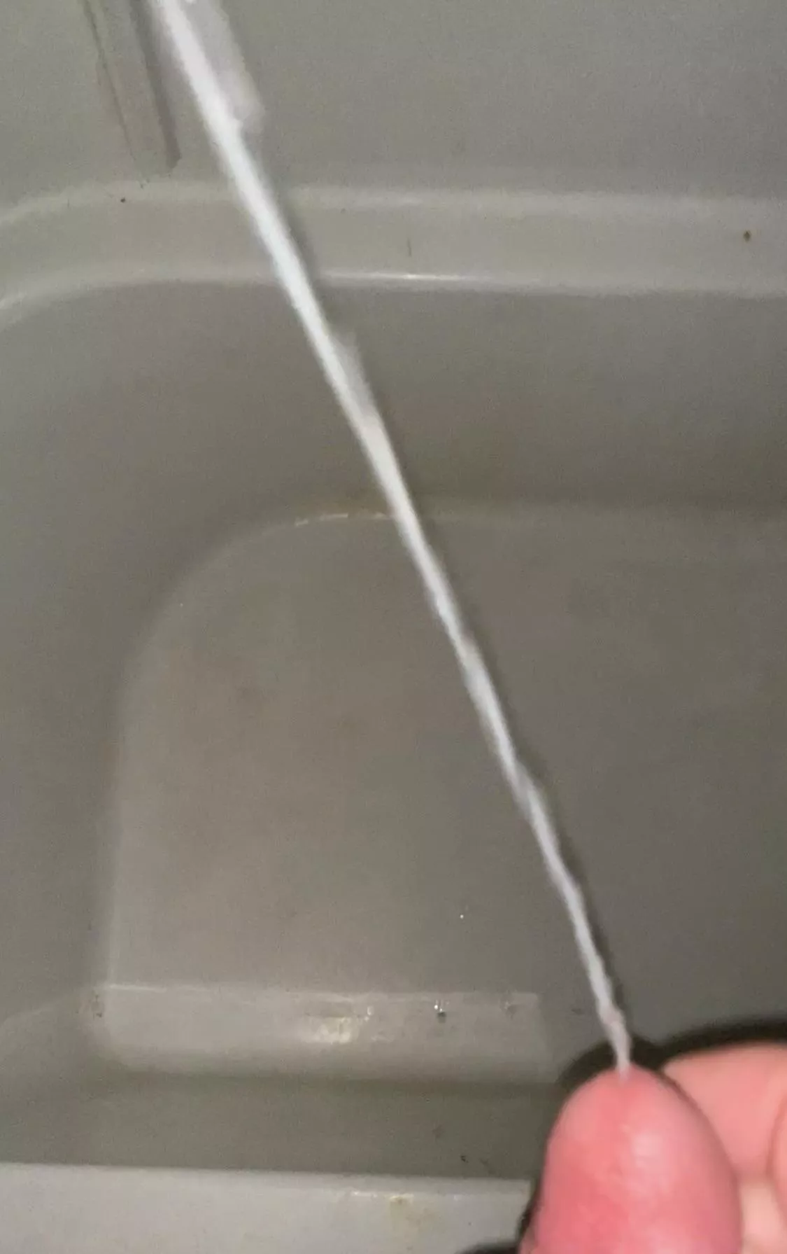 Anyone want to be my canvas? posted by Lookatmydisc