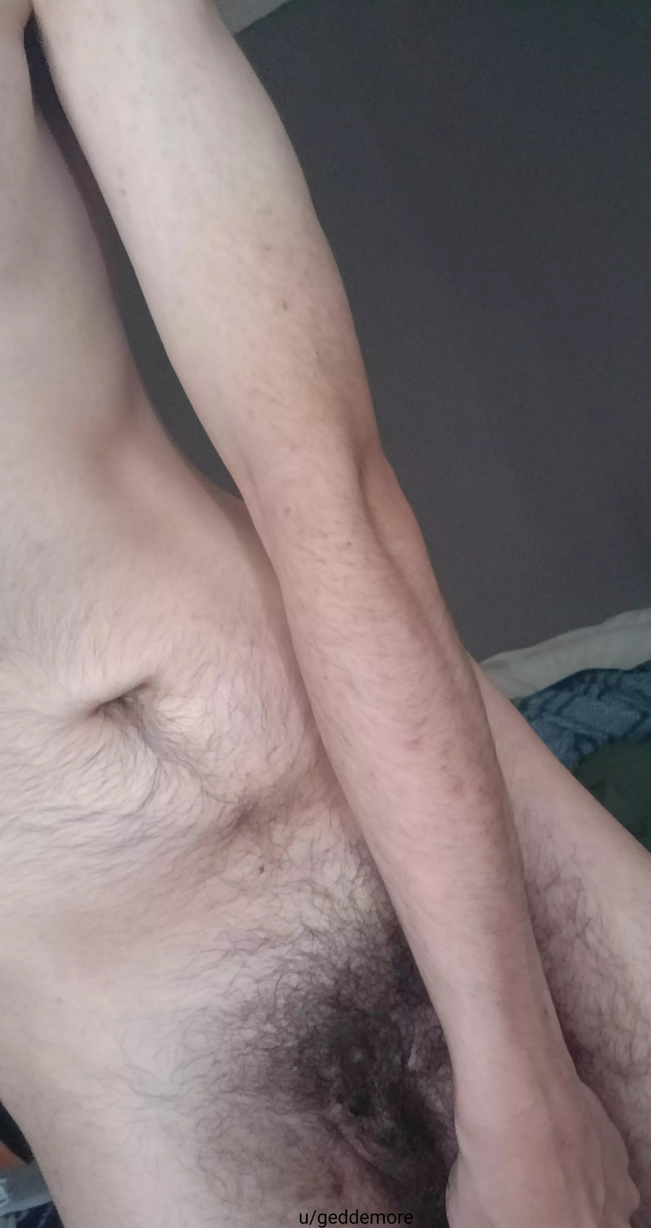 Anyone want to bury their nose in here? posted by geddemore