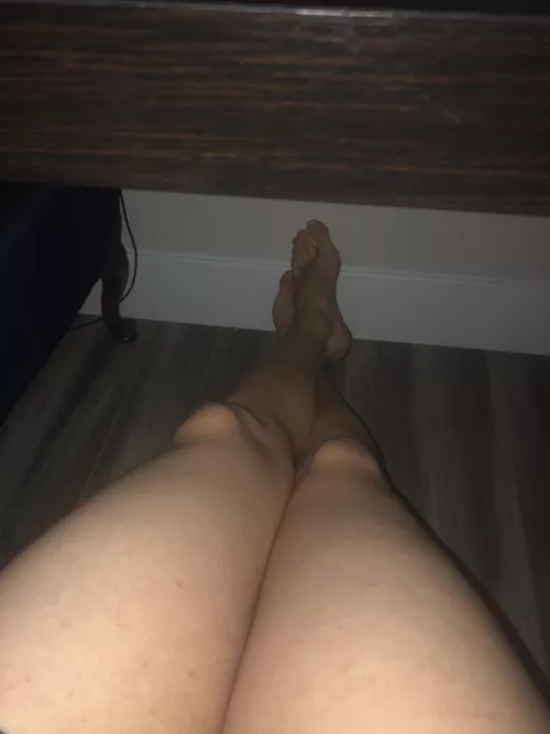 Anyone want to stay under my desk for a while? by steve-the-trash-man