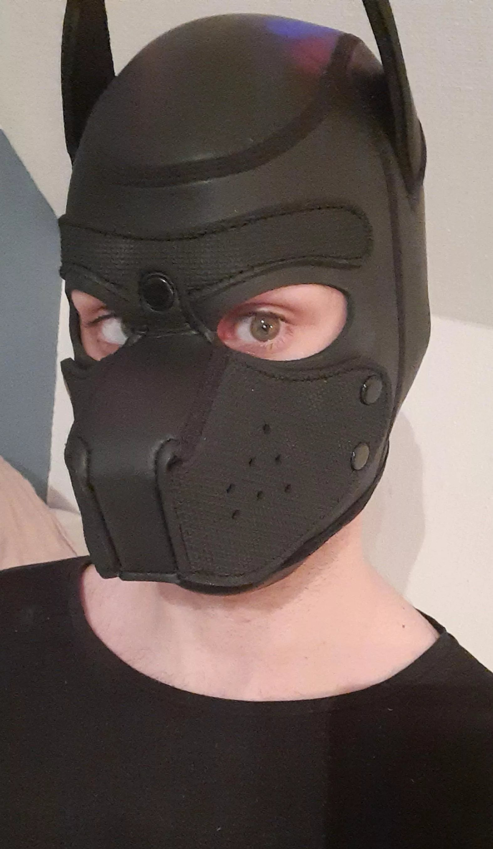 anyone wanted lil pup girl? need more pupgirls in the pupplay comunity hehe 🥰 posted by EvilynLandgren