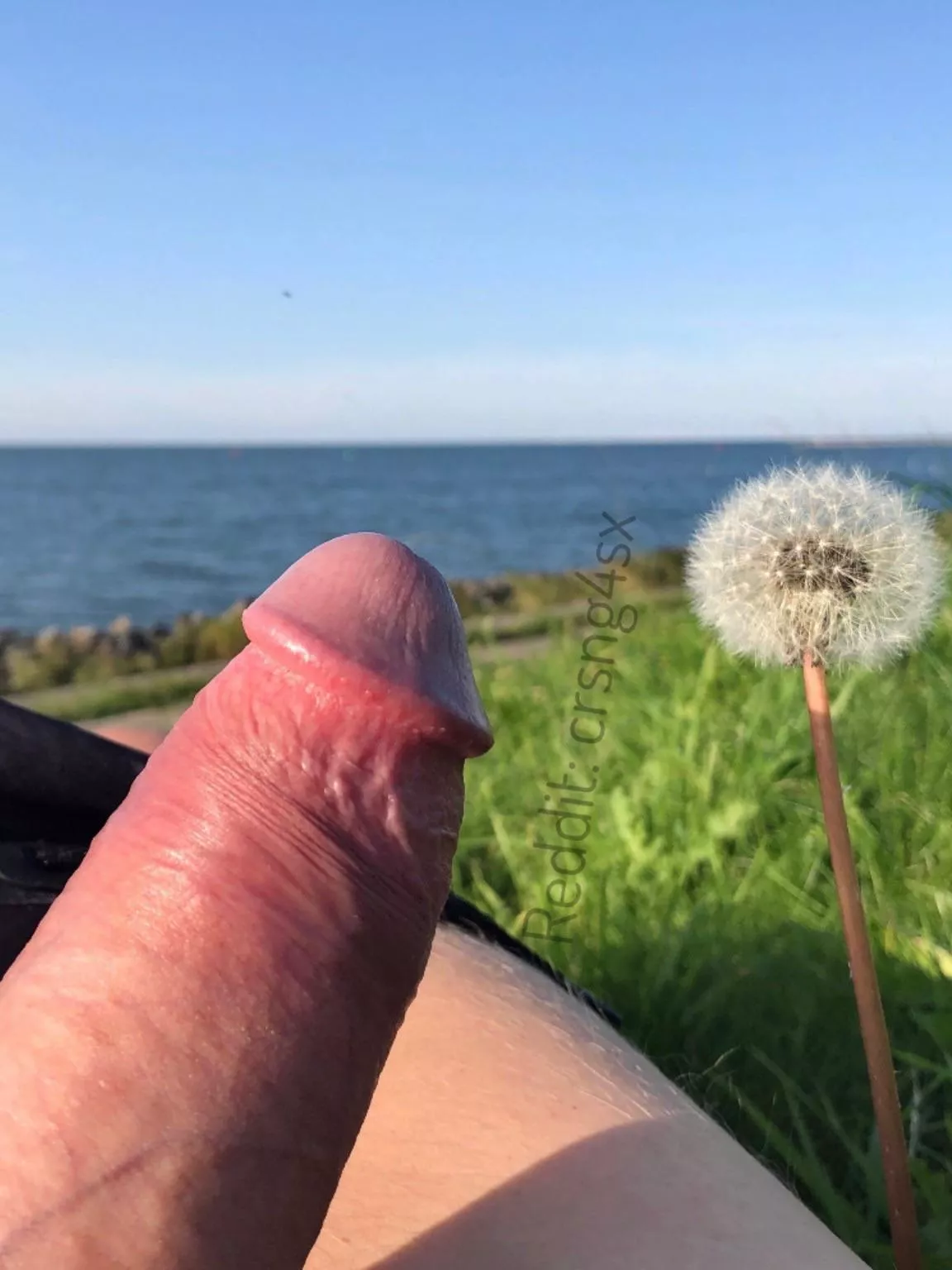 Anyone who wants to blow? posted by crsng4sx