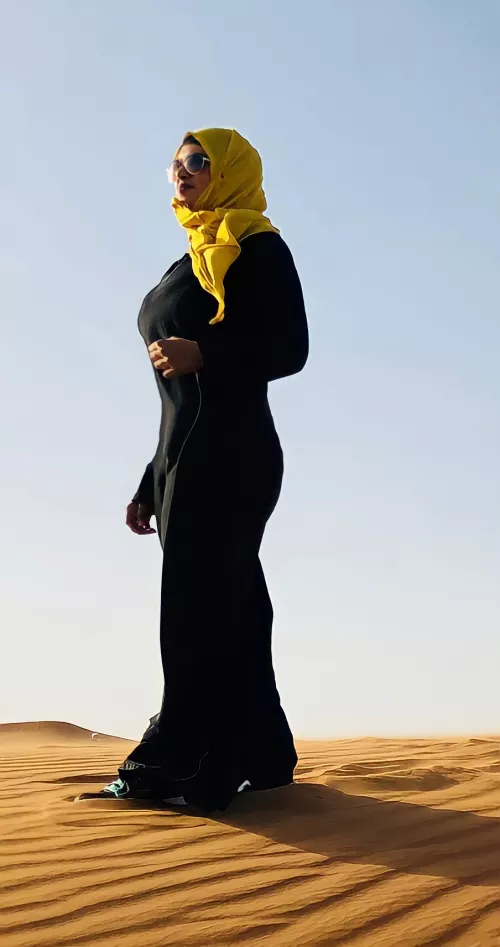 Arabic Camel... by CheapTemperature7484