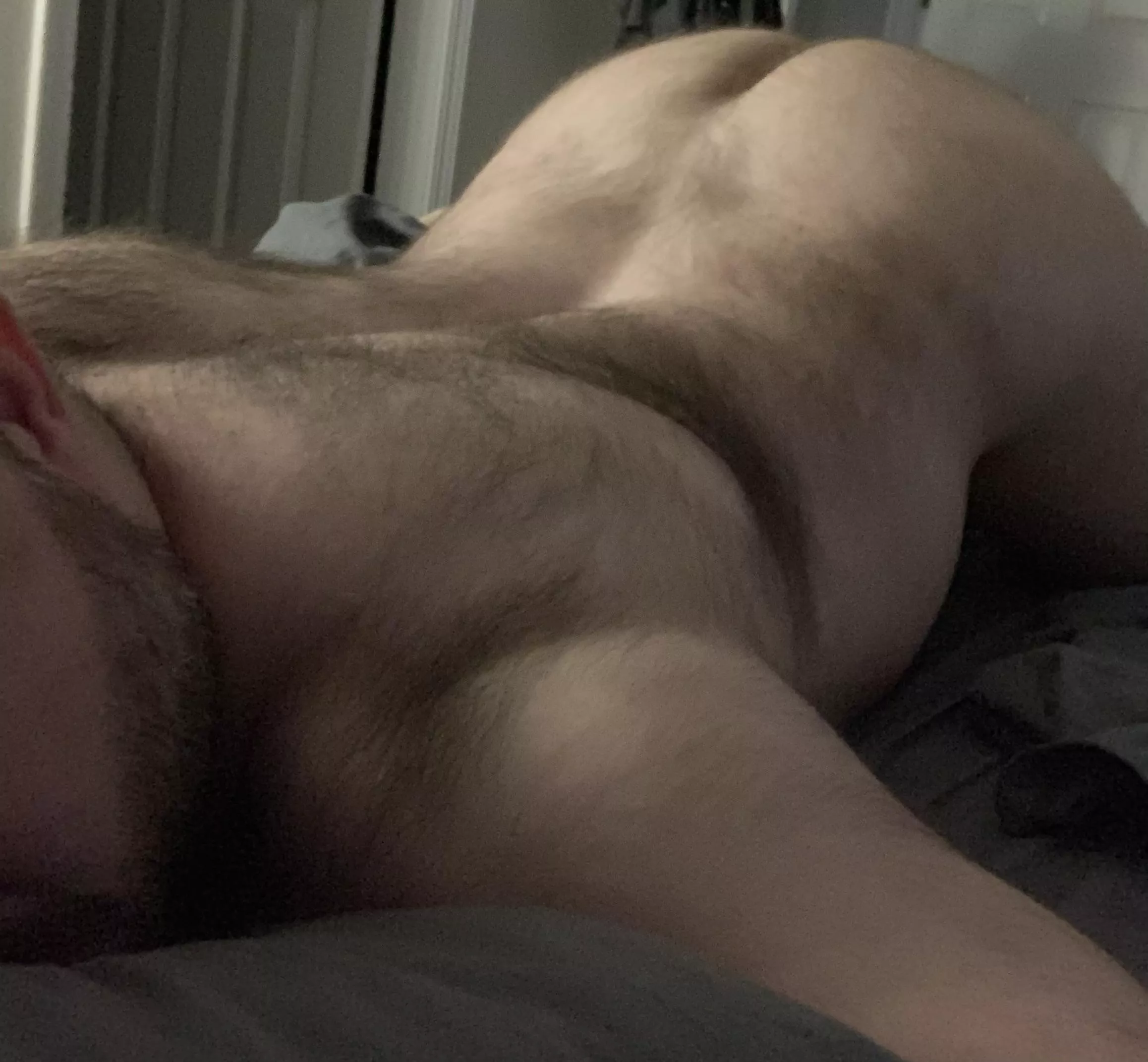 Arched for your pleasure posted by ShortandFurry