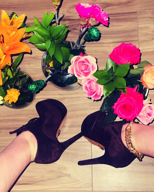 Arches of heaven by MadamRabbitx