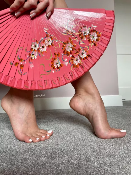 Arches with a Latina flair by Latinaft00