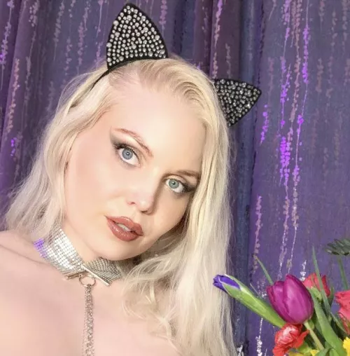 Are my eyes captivating you? 😻 by ittybityprettykitty