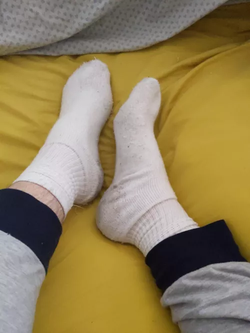 Are size 12 socks appreciated here? by Useless_Undercover