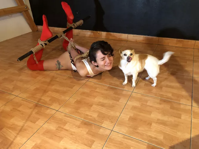 Are these kisses torturous? (Love when Bella hangs out with us) by DreySeahorse