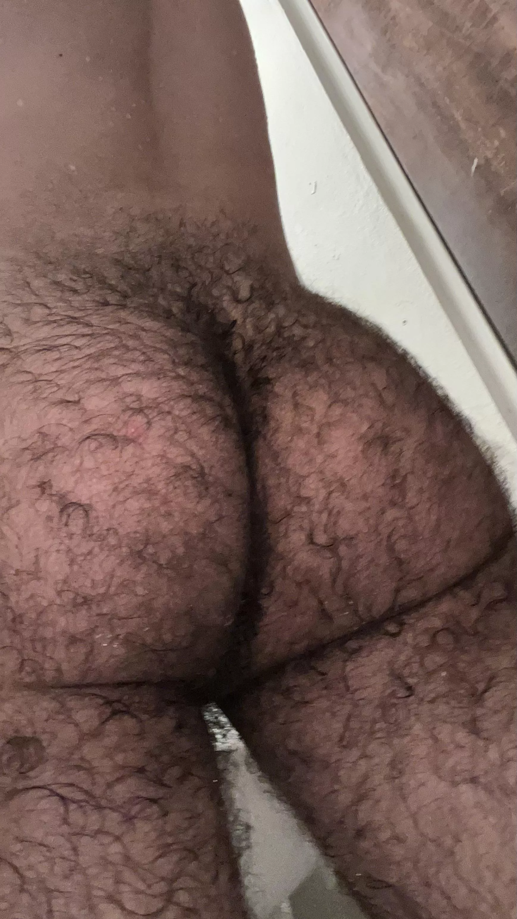 Are you a fan of hairy ass ? posted by Open-Foundation4455