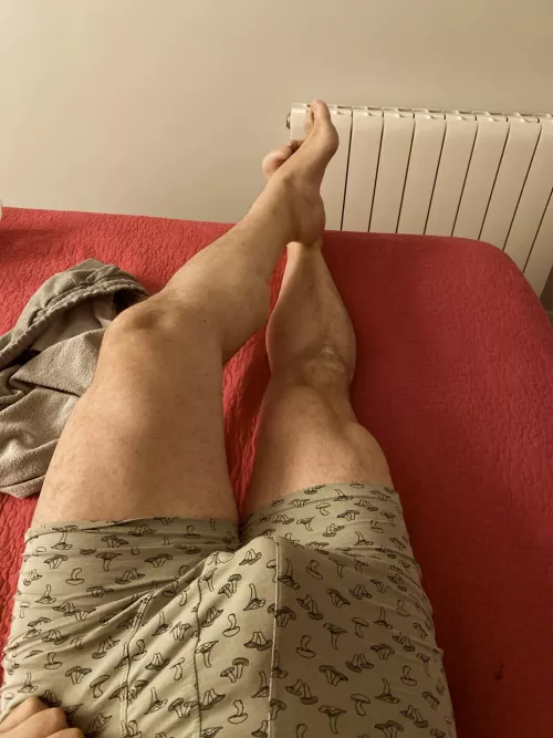 Are you into mushrooms? (43) by membrilloman