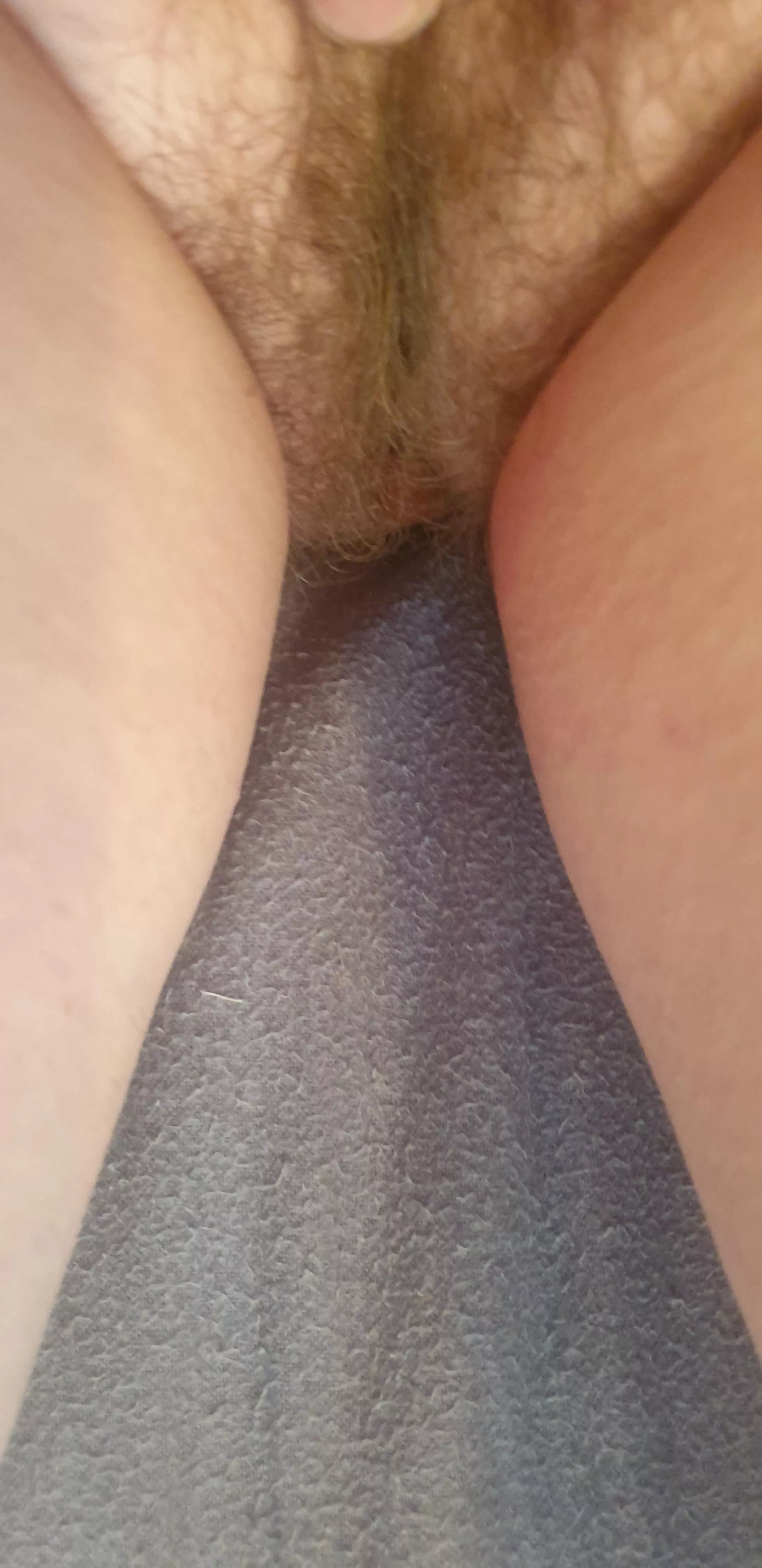 Are You Licking ,Fingering or Fucking ....or do you just want to explore my fur? posted by naturalbushblondieNz