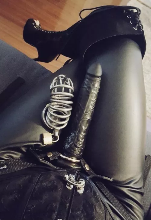 Are you ready to submit and get pegged by me? 🔞🔞🥵🥵 by goddessbella02