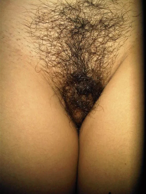 Are you sure that you could find my pussy in the bush? by pussytwins