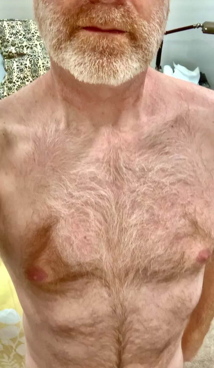 Are you wild about chest hair? Because I have some to spare. posted by ZelaznyFan68