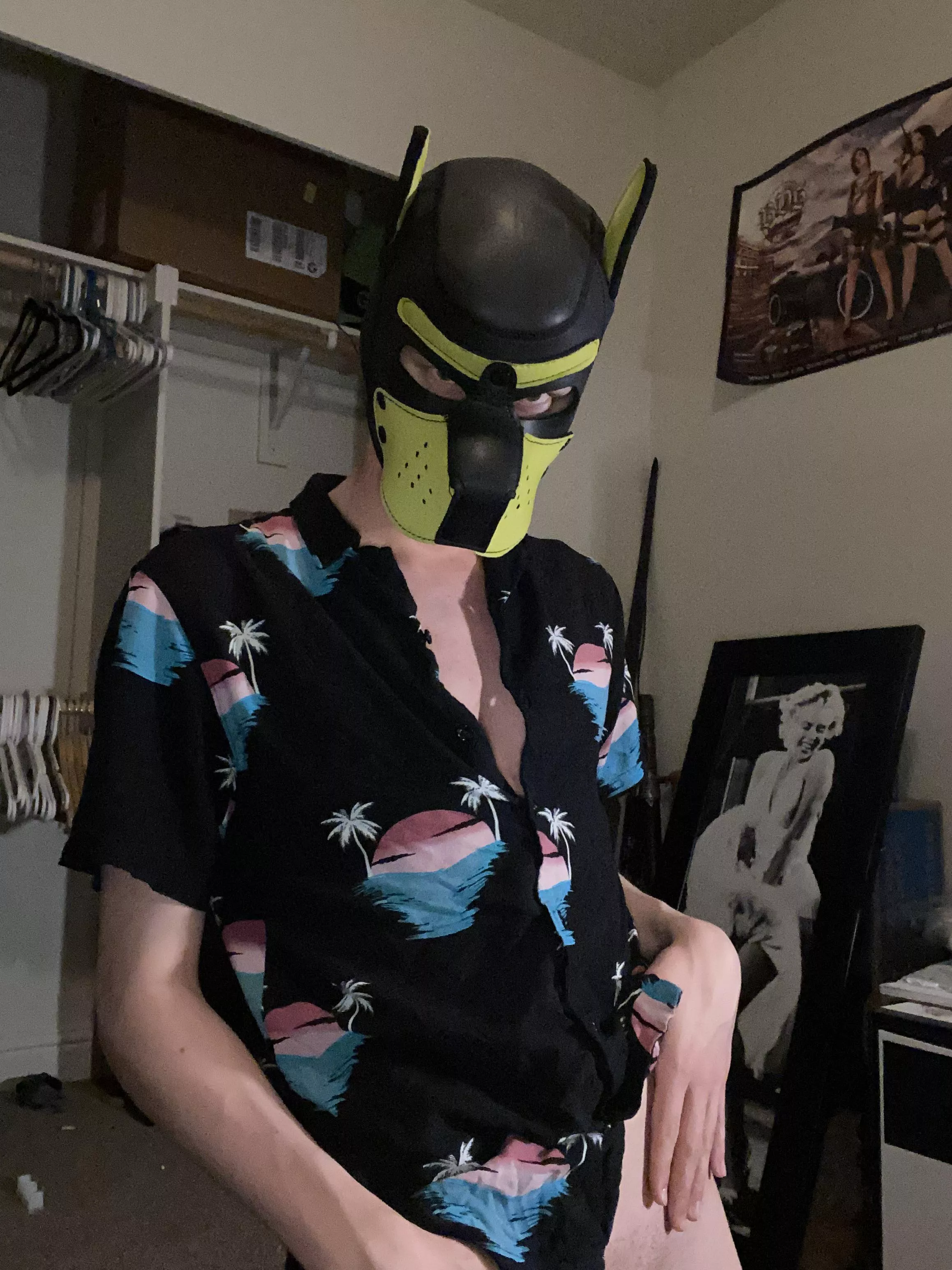 ARF! Come here pup~ posted by snowhollow115