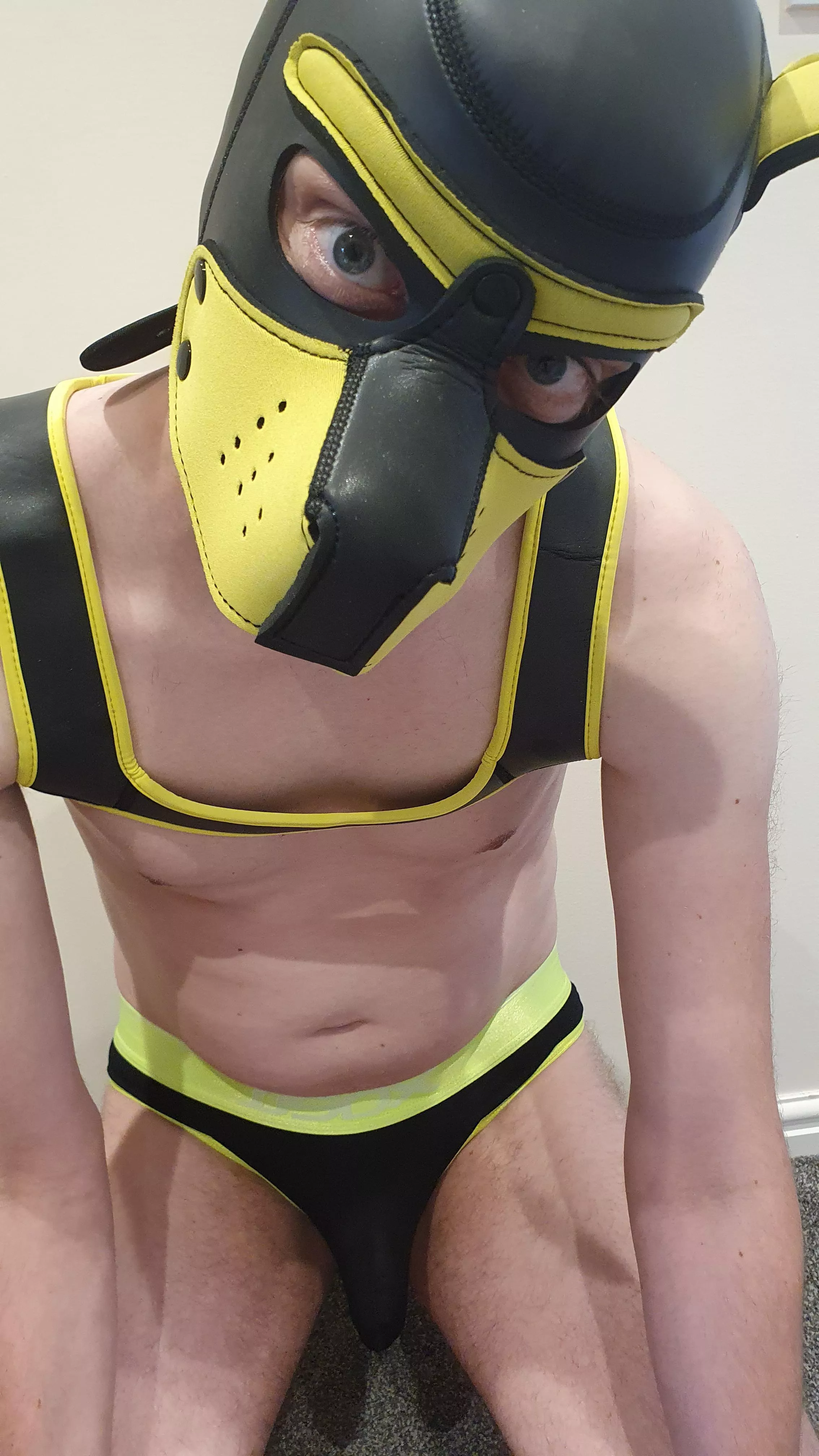 Arf! Don't mind me sitting down here. 🐶 posted by speedopup
