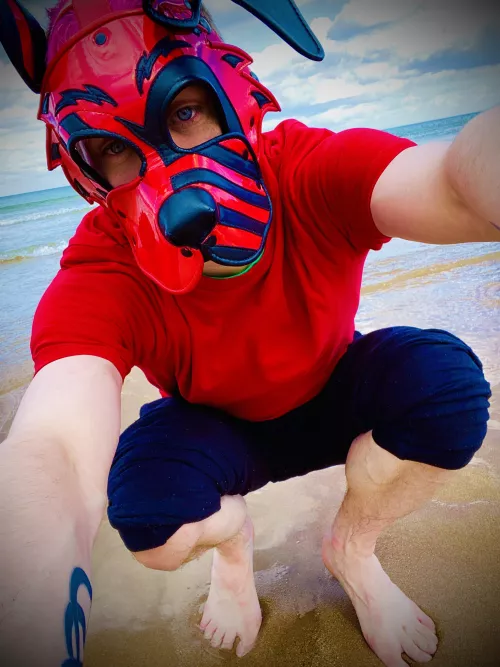 Arf?! by Just_Eye_7663