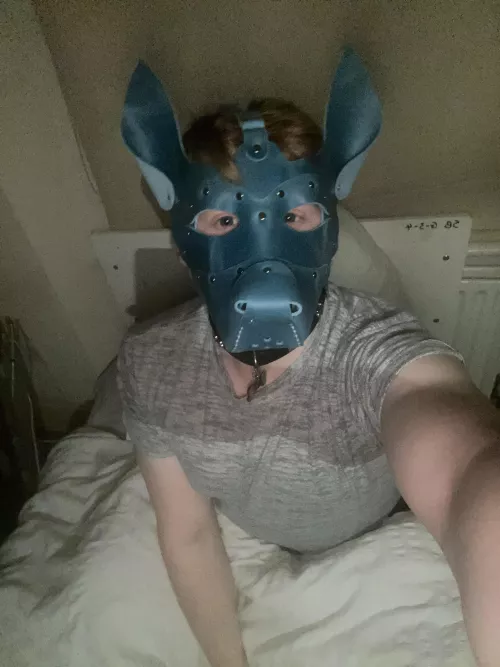 Arf got my first hood !! Smells soo good 19 by Redshottt