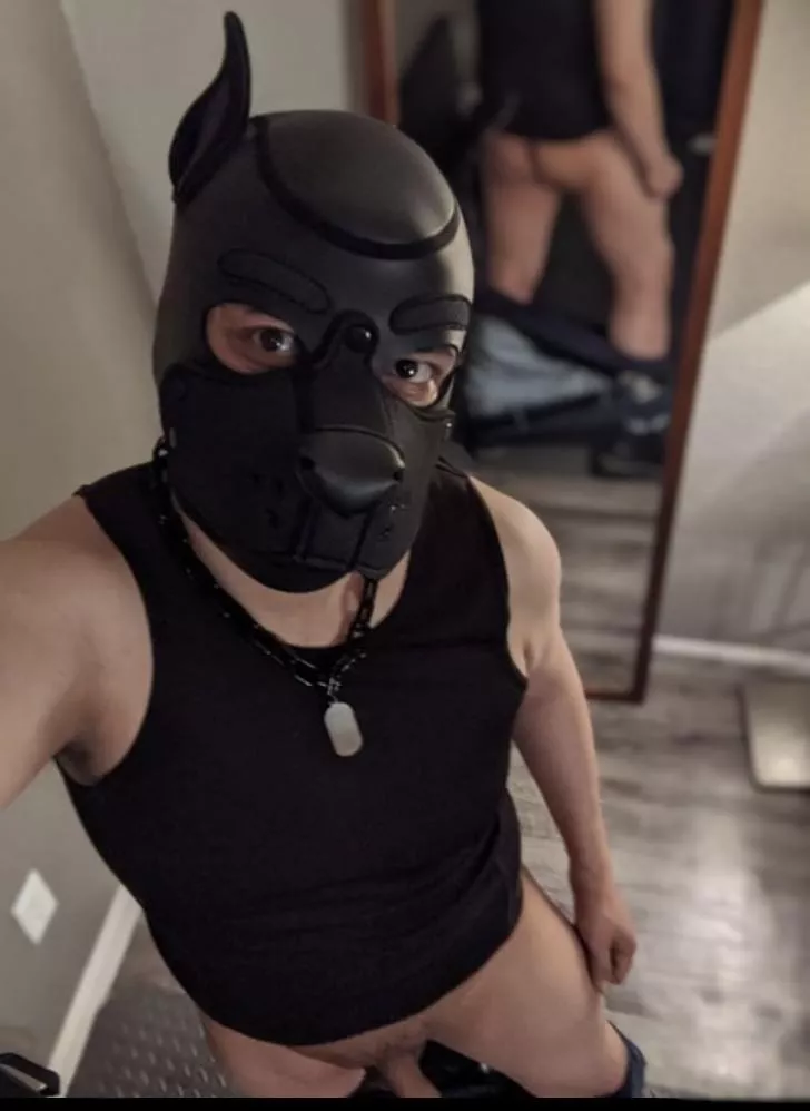 arf!🐾 posted by Expensive_Donkey442