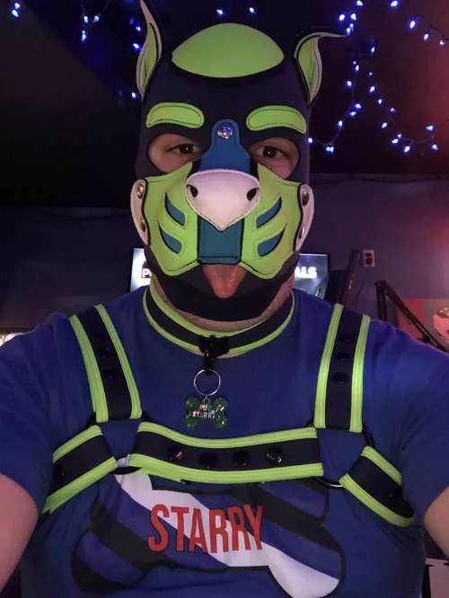 Arf went to a Pittsburgh gay bar bingo, but didn’t win anything! by Pup-Starry