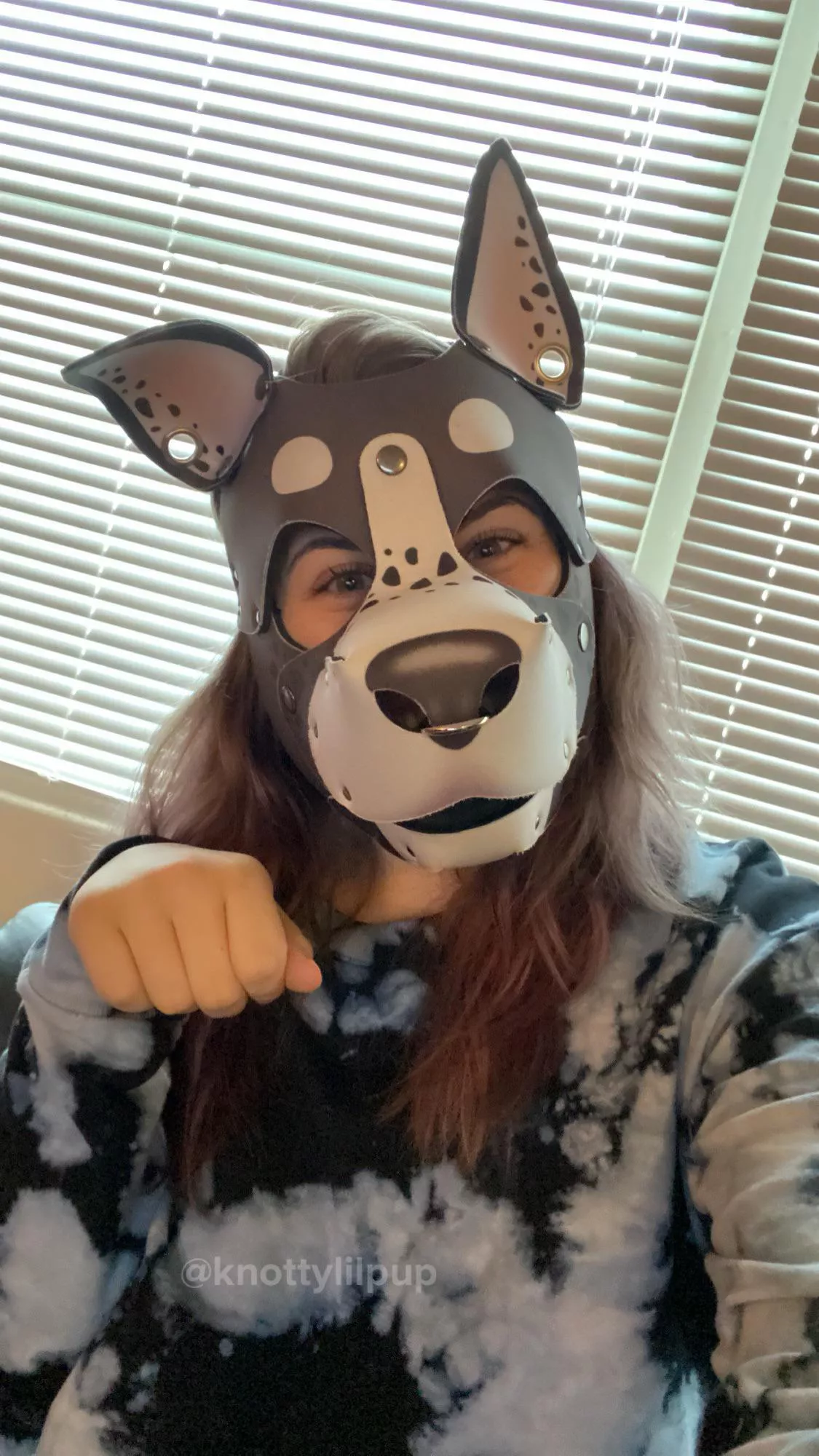 Arf!! 😋🐾 posted by knottylilpup