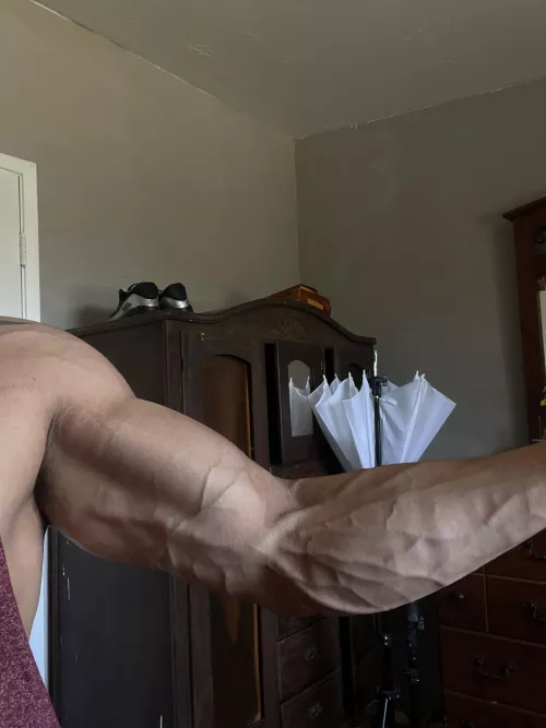 Arm day ! by Thecompasergio