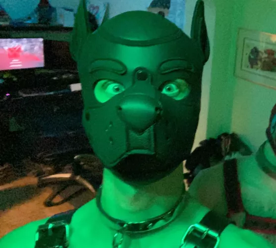 Arooo? I smell bone by Tigerscottx