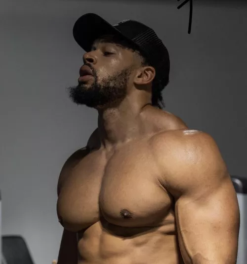 arranaro by jaytrenu