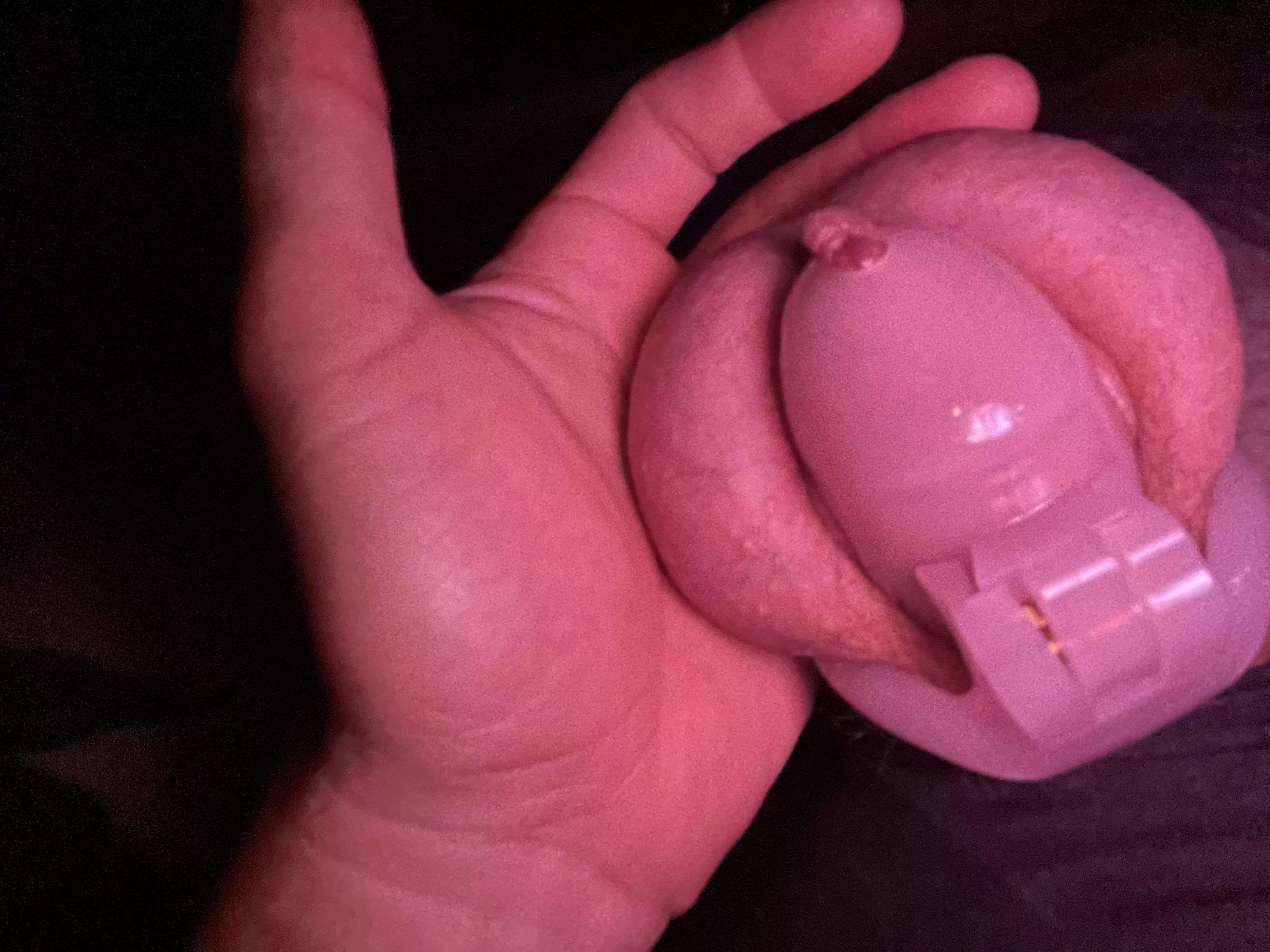 As hard as it gets. Lol posted by DanikaJaneCD