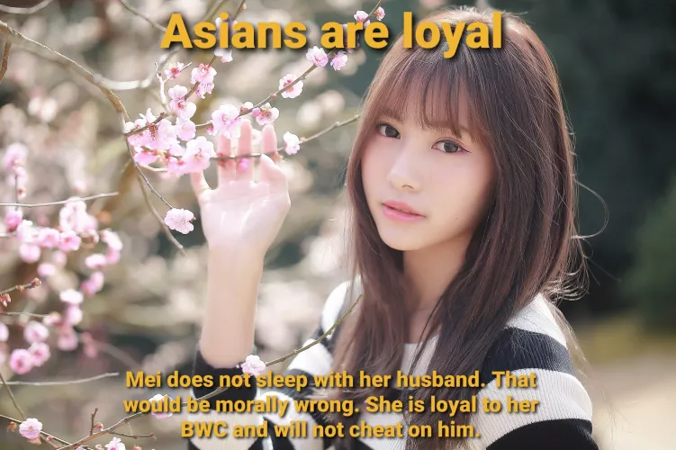 Asian Values 4: Loyalty by Placeforrace
