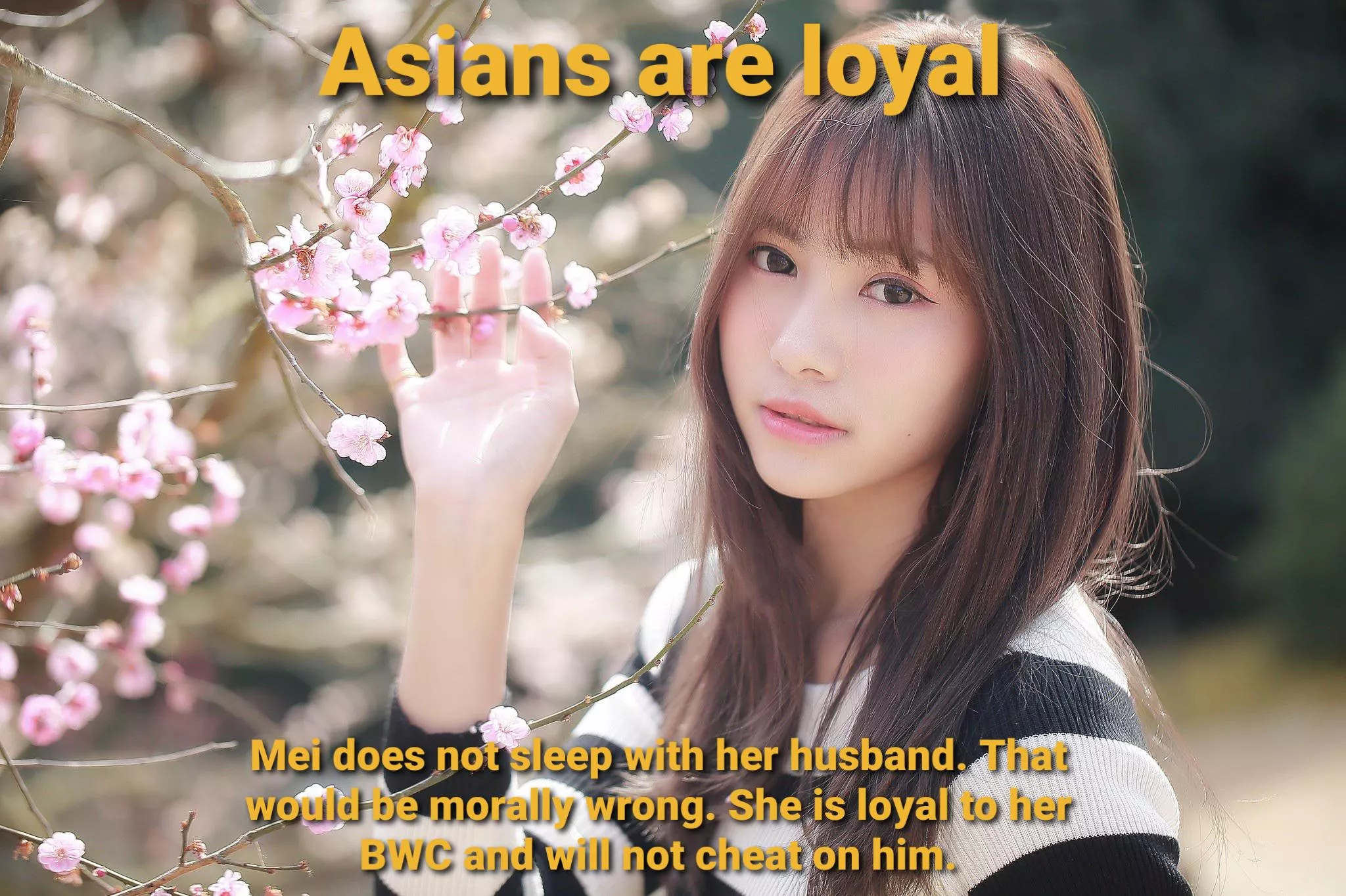 Asian Values 4: Loyalty posted by Placeforrace