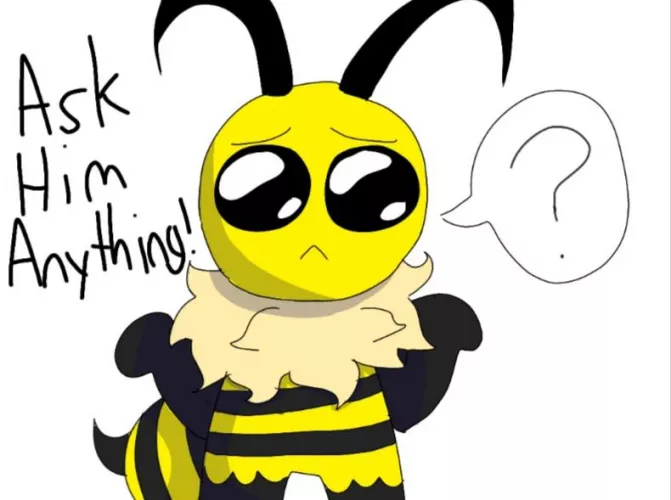 Ask this boi anything and I'll answer by daperdip