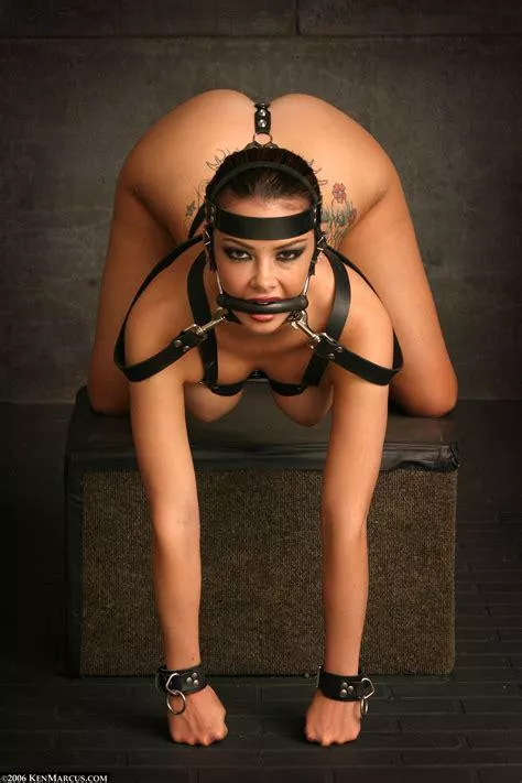 assume the position posted by kinkykink69