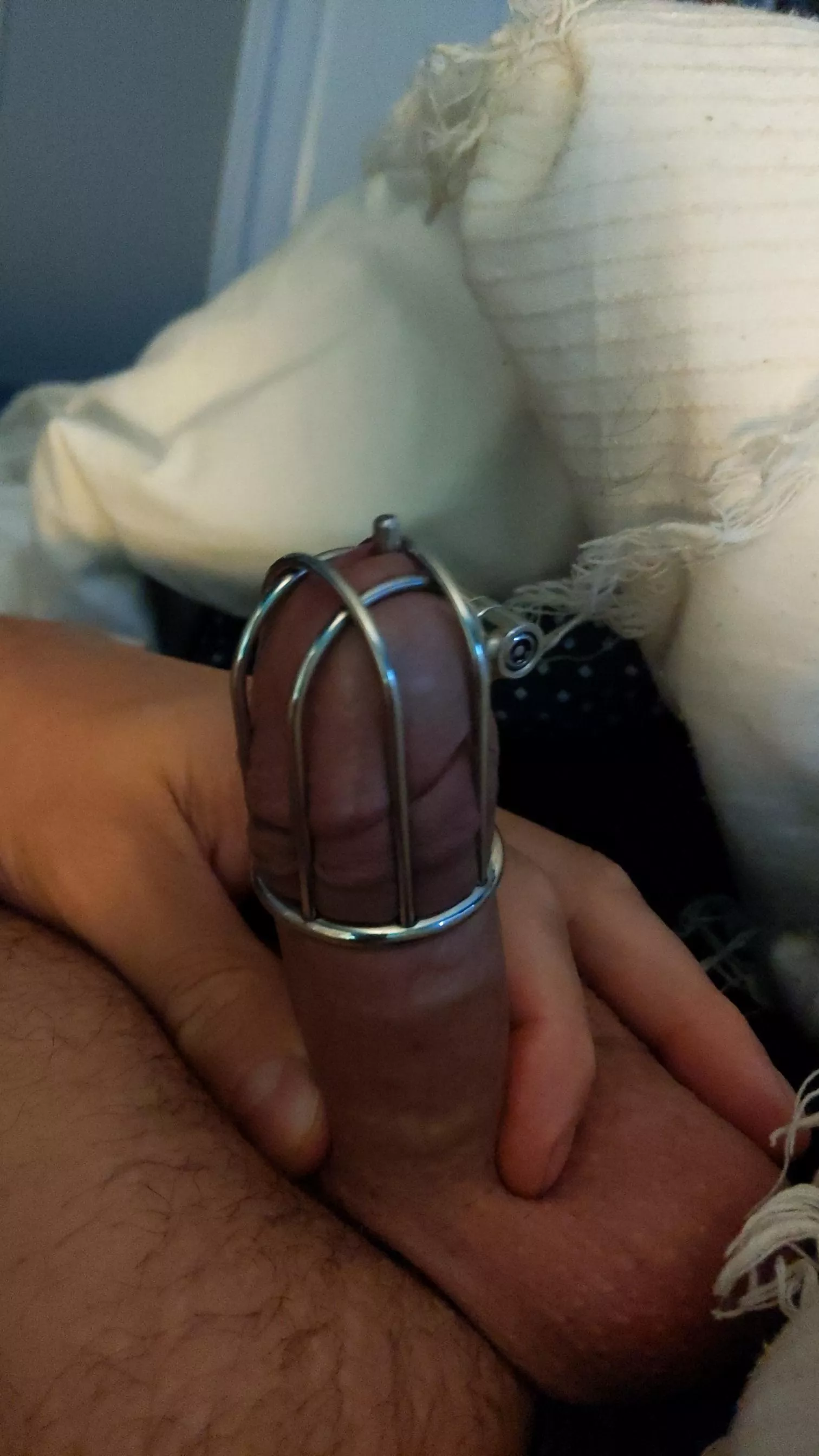 at least I can still get hard in this cage posted by Lockedpickle