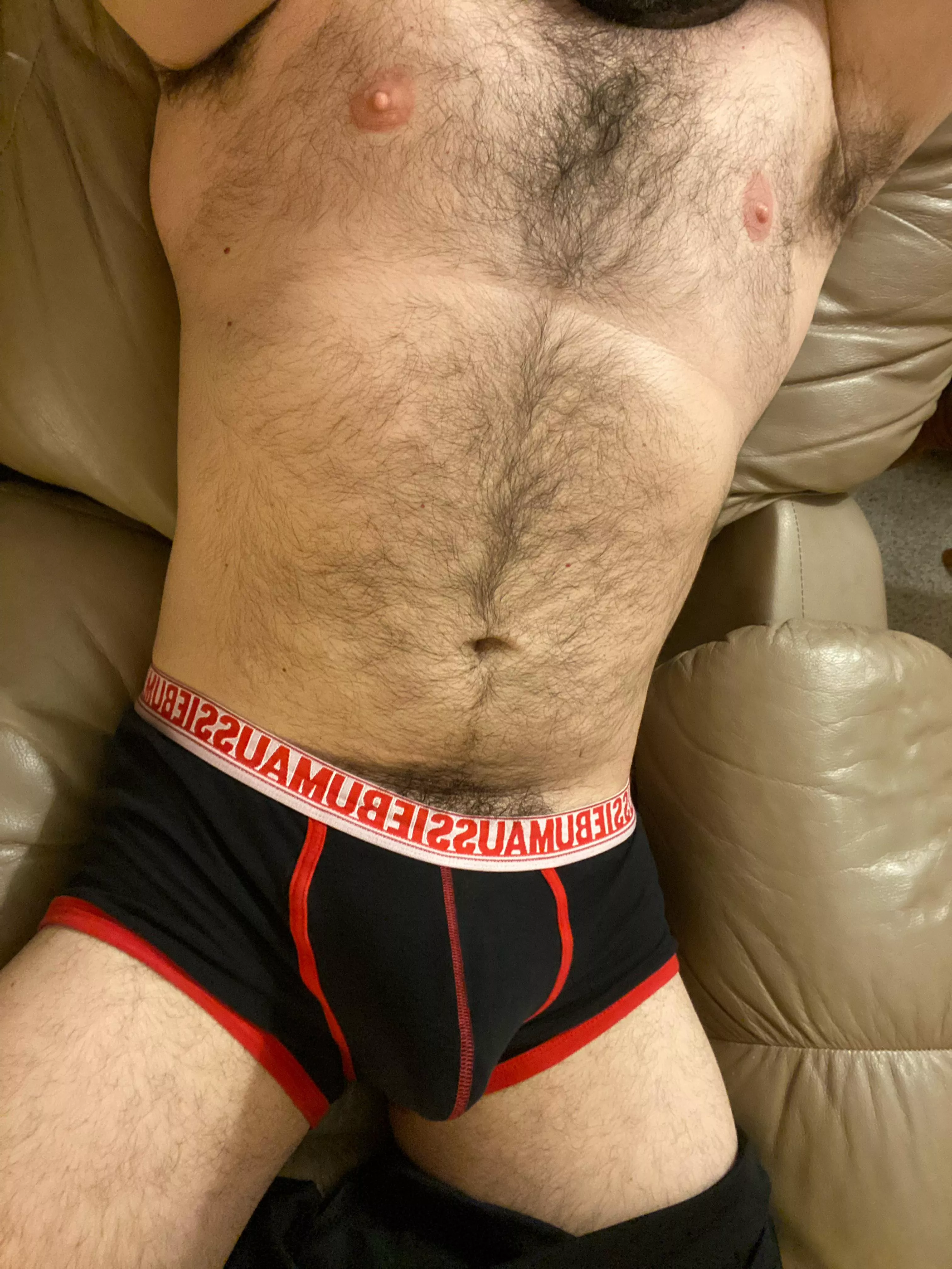 Aussiebums posted by Comfortable-Engine45