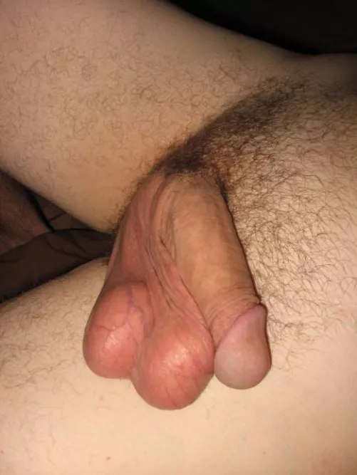 Australian softy by curiousauslad