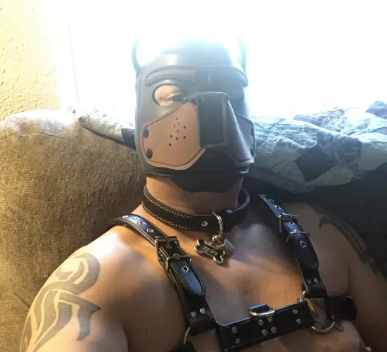 Awooooo! by Spiritual-Bag8381