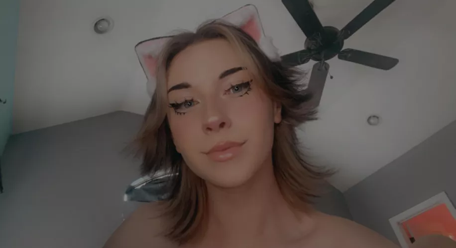 “Babe wake up, catboy_420 just posted” by CatBoy_420