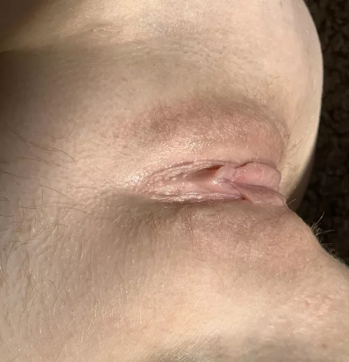 Baby butterfly wings by innocentdreamsxo