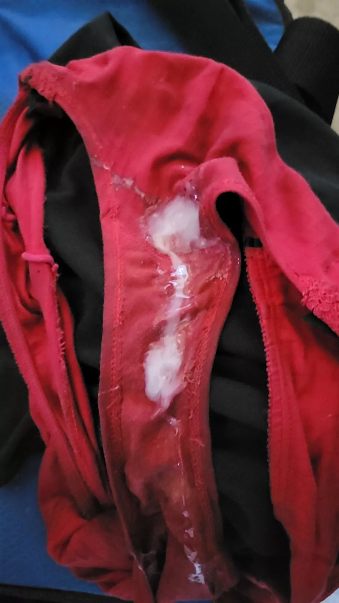 babysitters panties today posted by usedpantyman