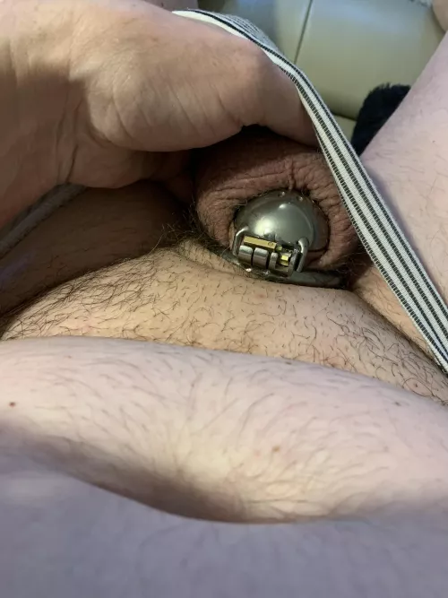 Back in chastity after a long time by Awkward-Growth-2161