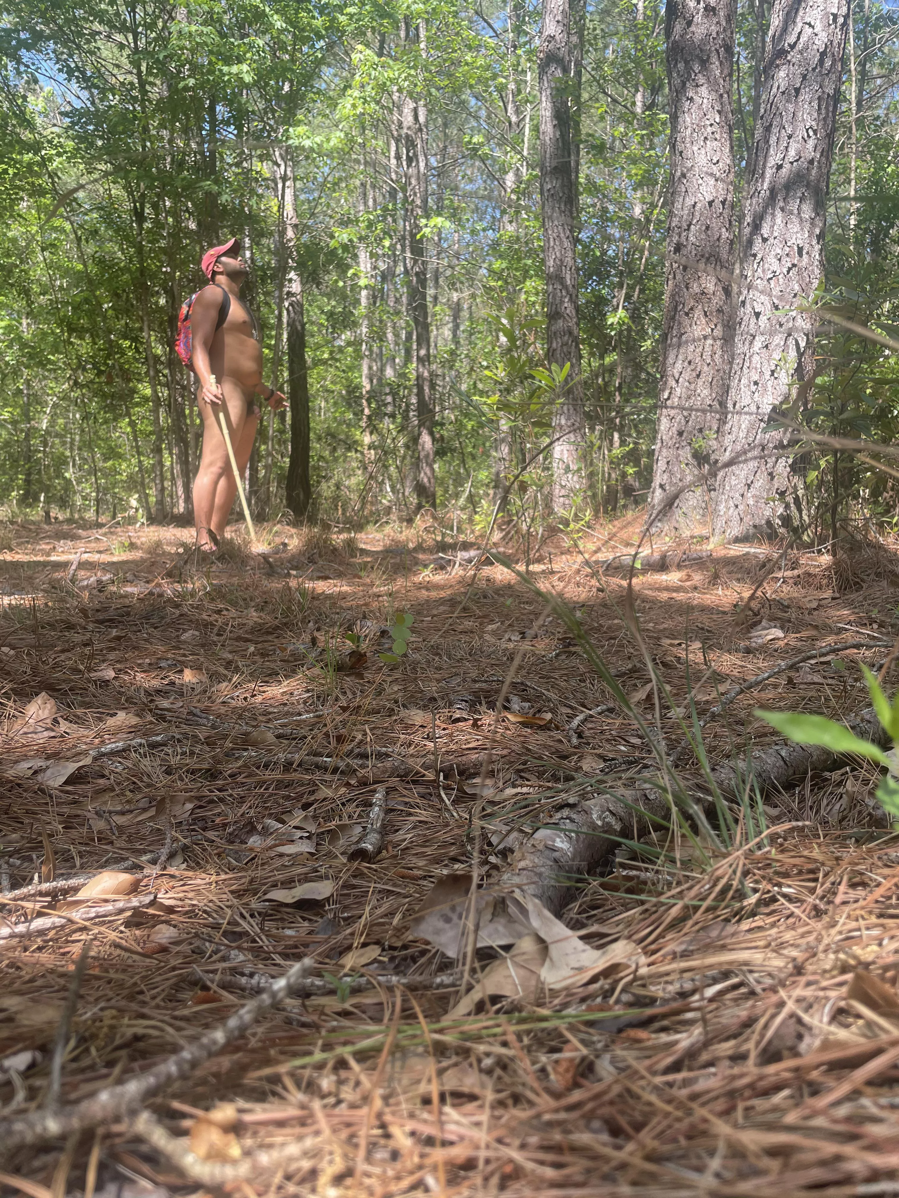 Backpack in the woods. posted by AmericaFuckYeah100