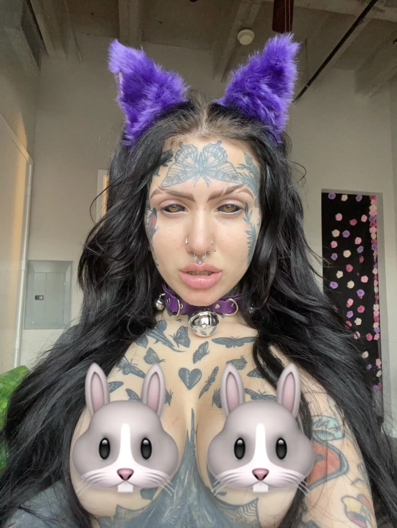 Bad Bunny posted by r3dcat666