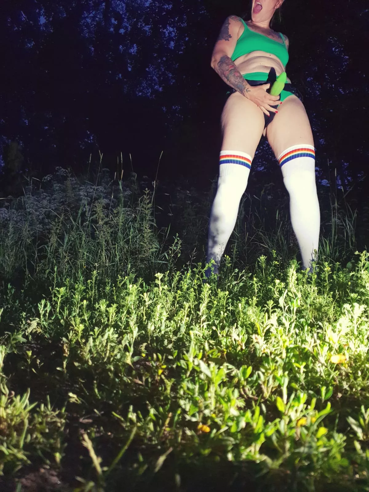 Bad dragon. posted by Johnlongsack