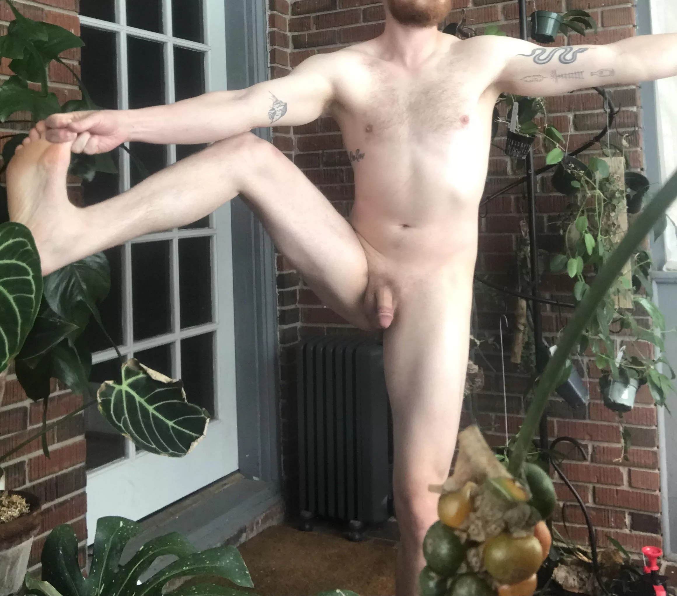 Balance posted by redbeardcrunch