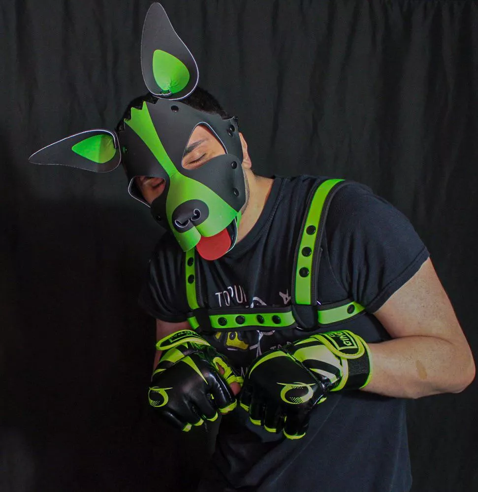 Barkkkk new hood! posted by pupzeke